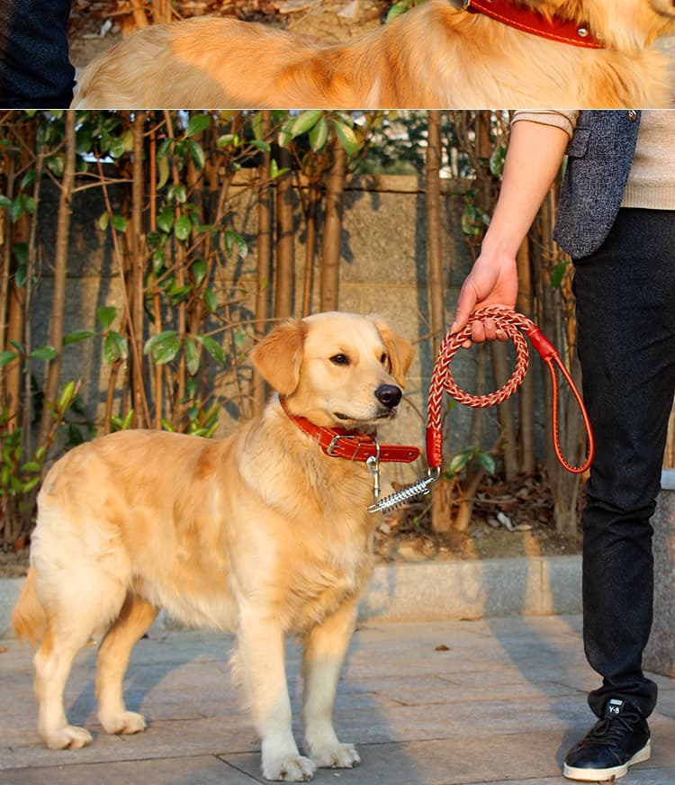 犬 ハーネス 職人手編みスタッズ革ハーネス