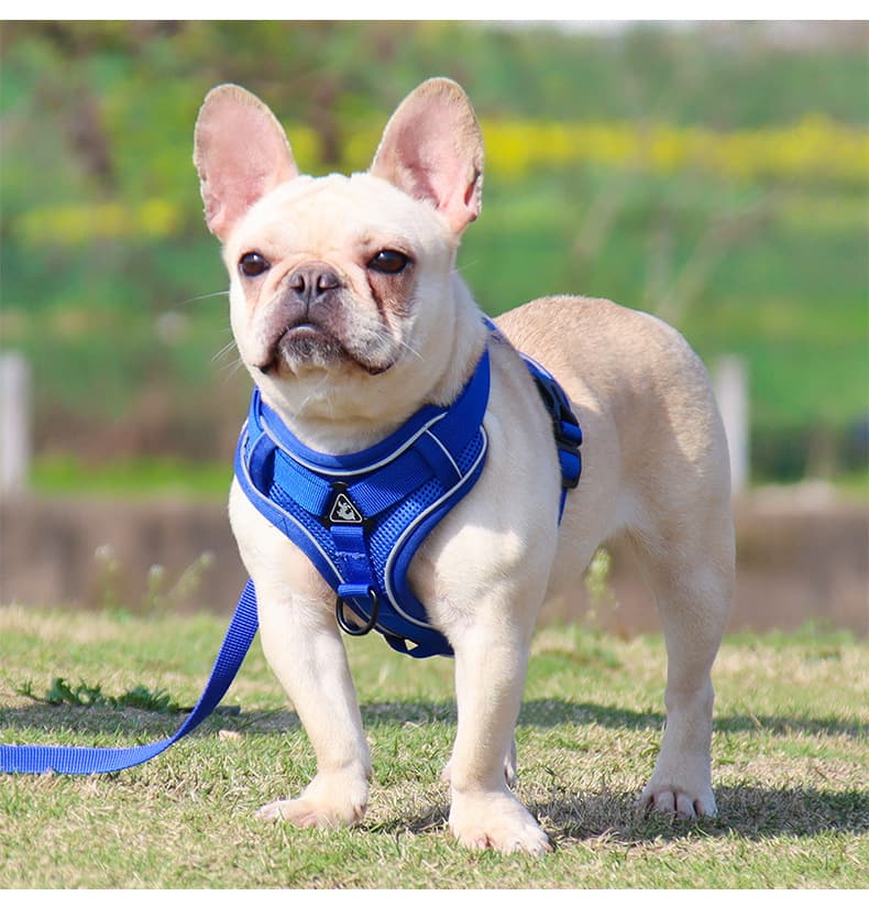 犬 ハーネス シンプル軽量デザインハーネス