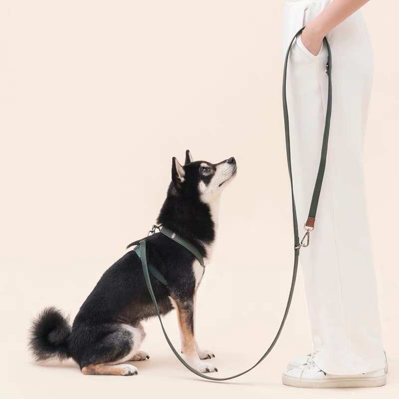 犬 ハーネス なめらか本革首輪セットリード