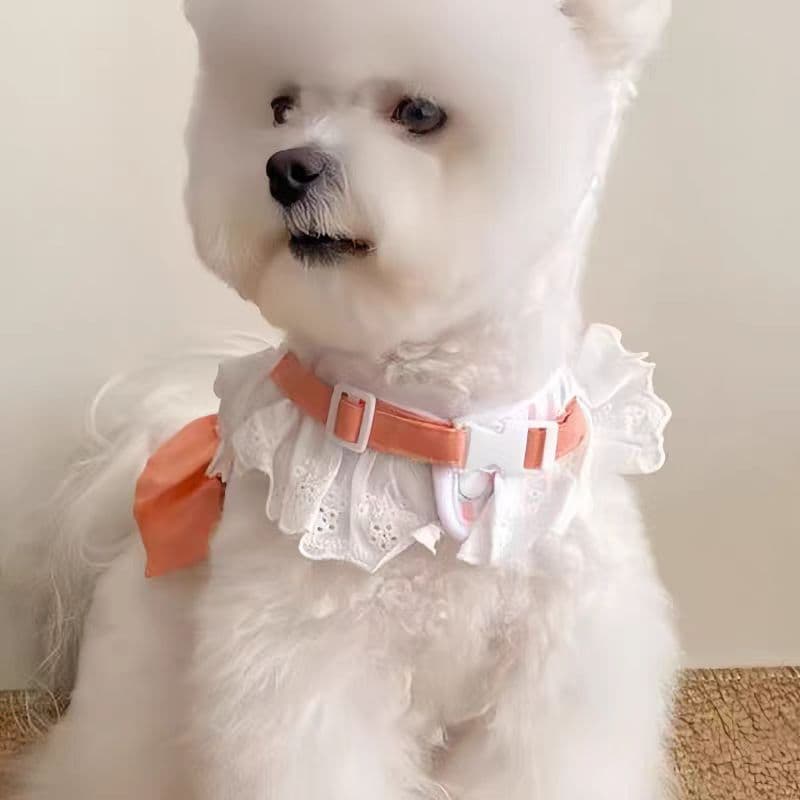 犬 ハーネス ふんわり姫フリルハーネス