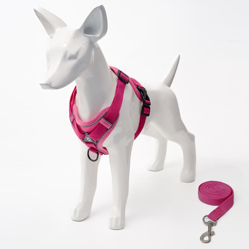 犬 ハーネス 快適お散歩ベーシックハーネス