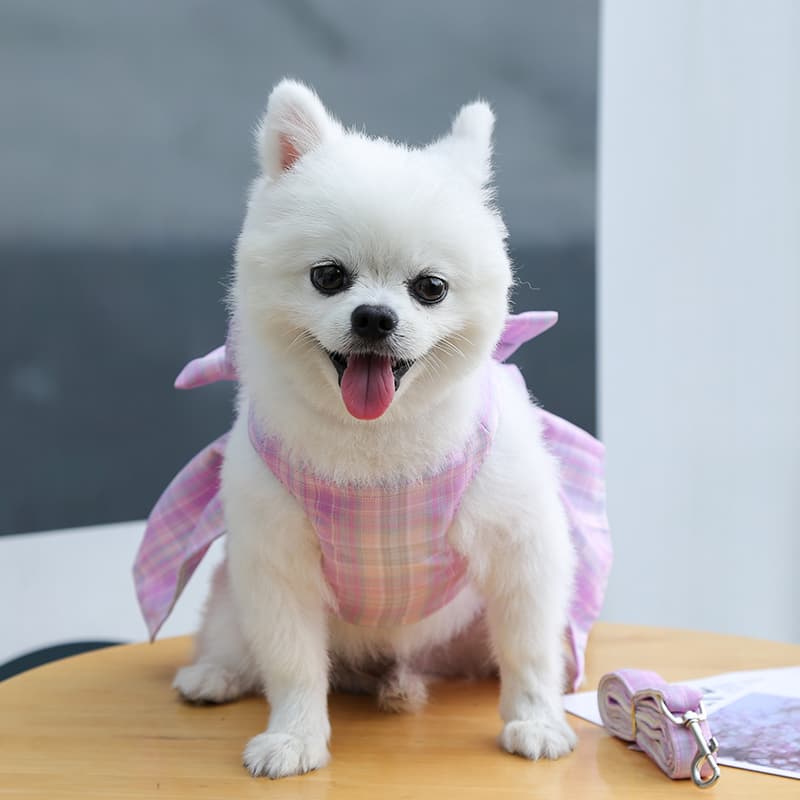 犬 ハーネス ふんわりリボンのお出かけハーネス