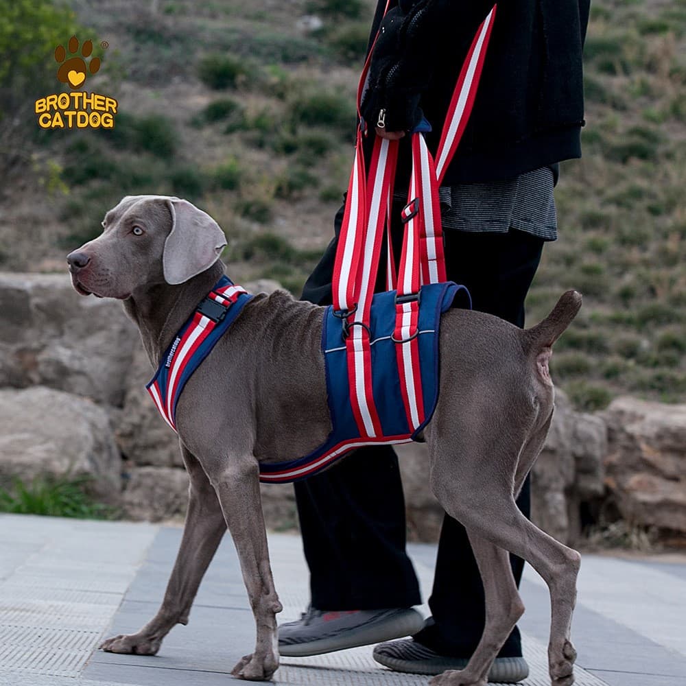 犬 ハーネス リフト補助ハーネス ソリッドスタイル