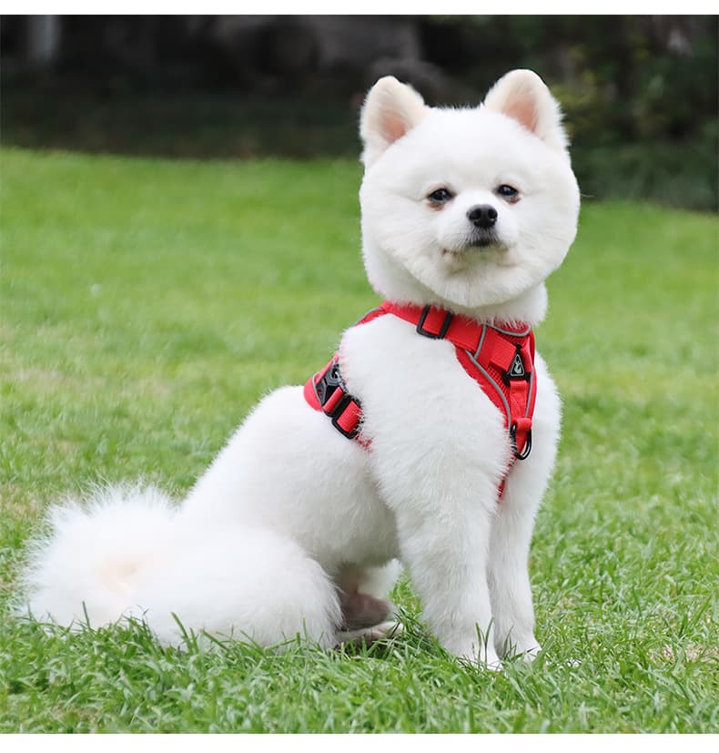 犬 ハーネス シンプル軽量デザインハーネス