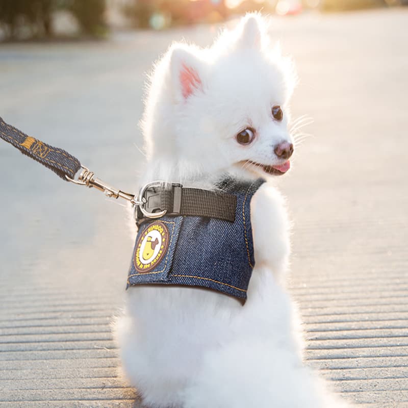 犬 ハーネス シンプル デニムメッシュ ハーネス