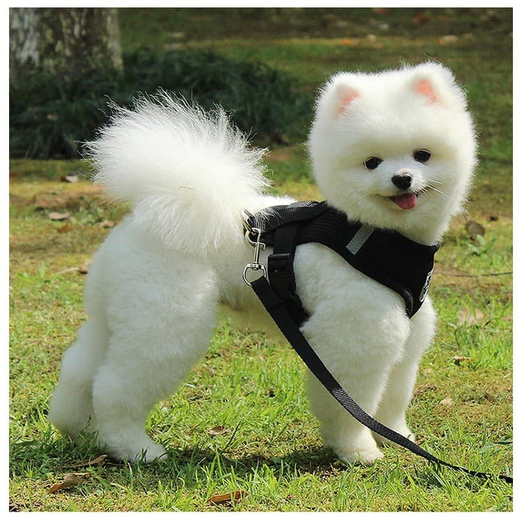 犬 ハーネス もこもこ安心メッシュハーネス