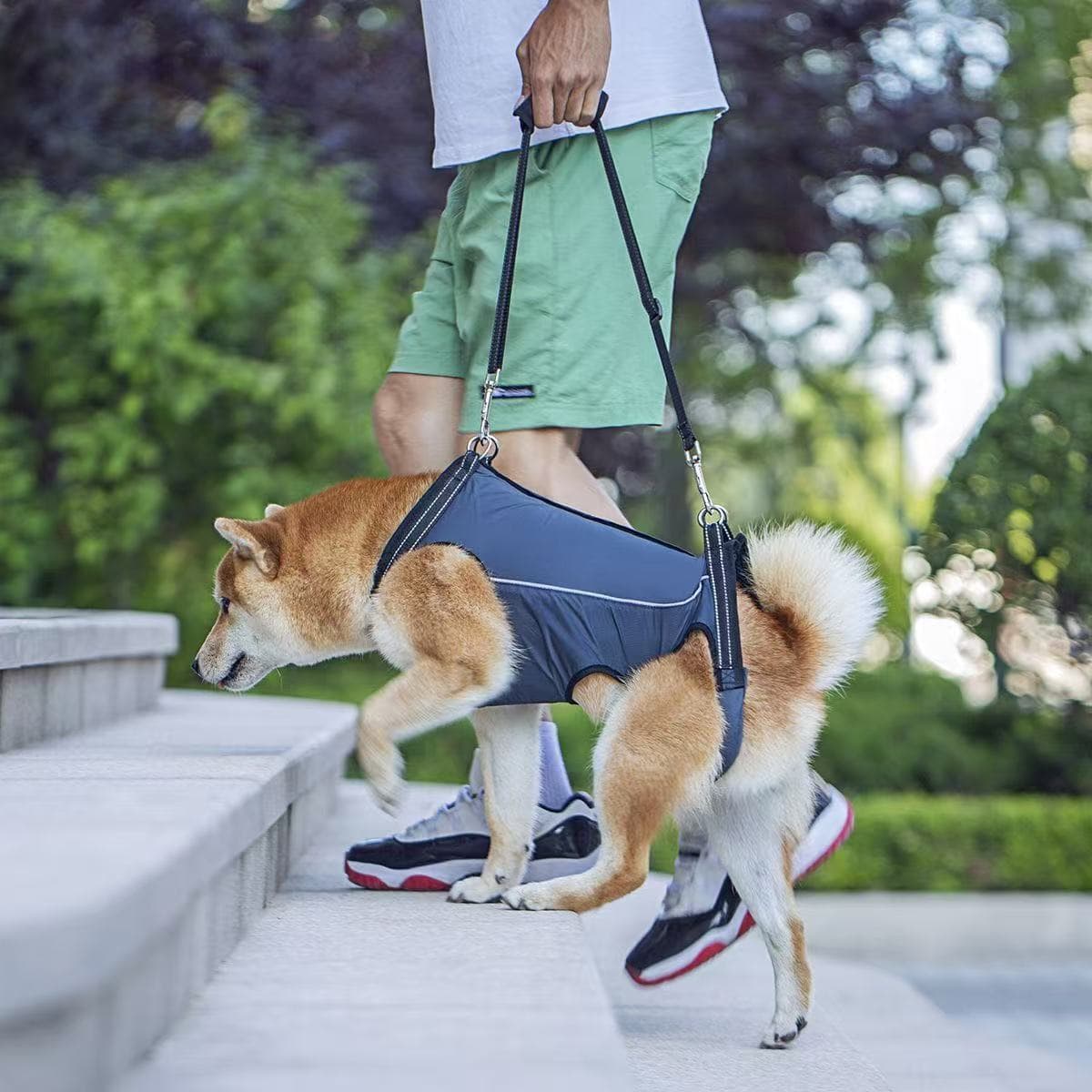 犬 ハーネス 老犬・介護用 らくらくサポートハーネス