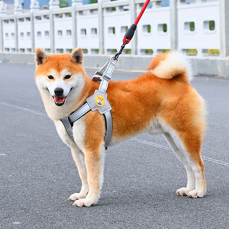 犬 ハーネス 柴犬のための快適シンプルハーネス
