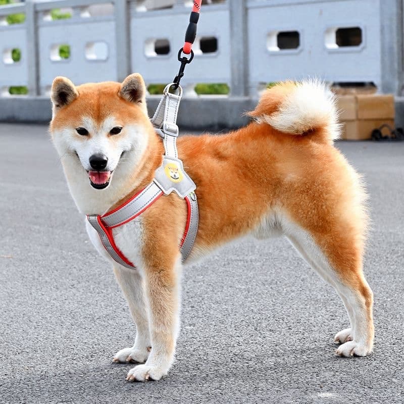 犬 ハーネス 柴犬のための快適シンプルハーネス