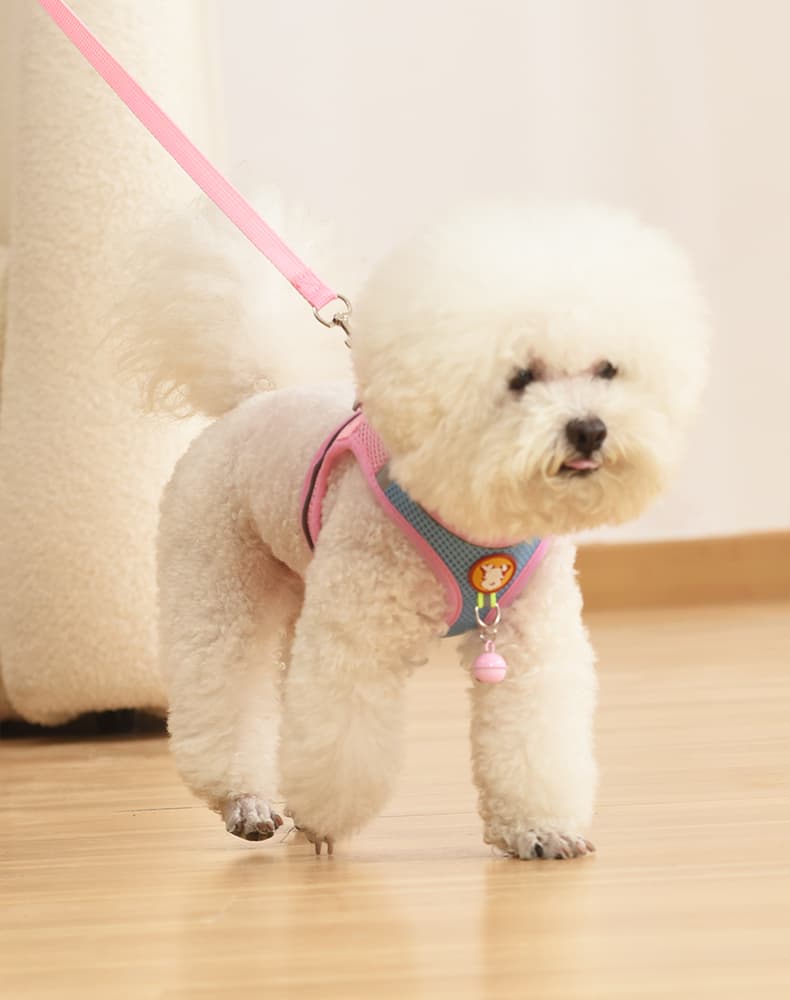 犬 ハーネス ふわもこキャンディ お散歩ハーネス