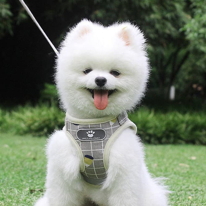 犬 ハーネス やさしい呼吸ハーネス
