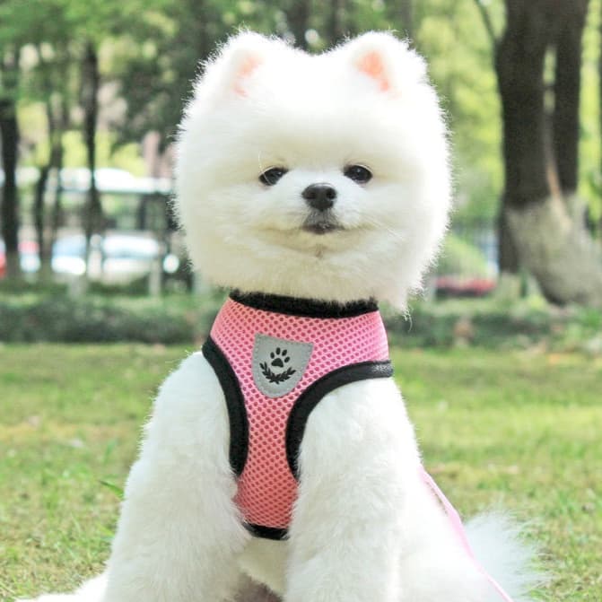 犬 ハーネス やさしい呼吸ハーネス