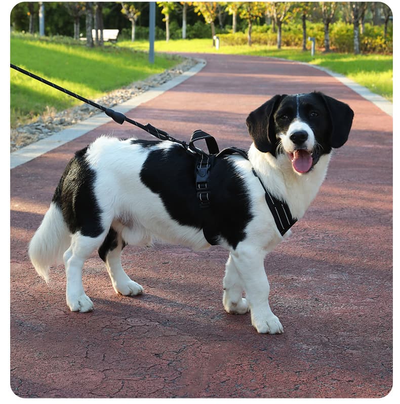 犬 ハーネス シームレス快適ハーネス
