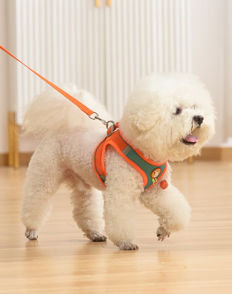 犬 ハーネス ふわもこキャンディ お散歩ハーネス