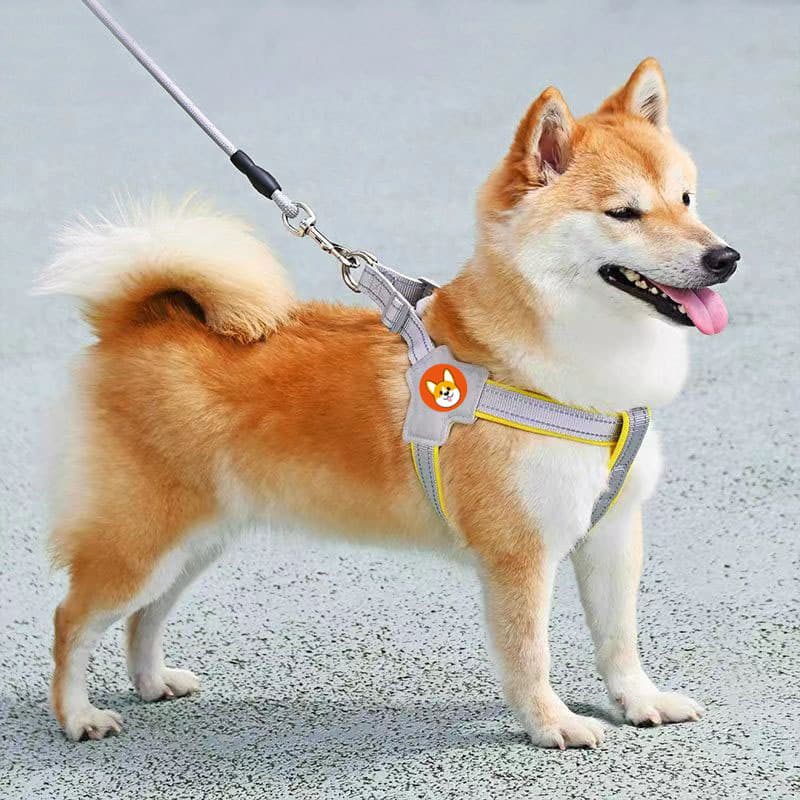 犬 ハーネス 柴犬のための職人仕立てハーネス