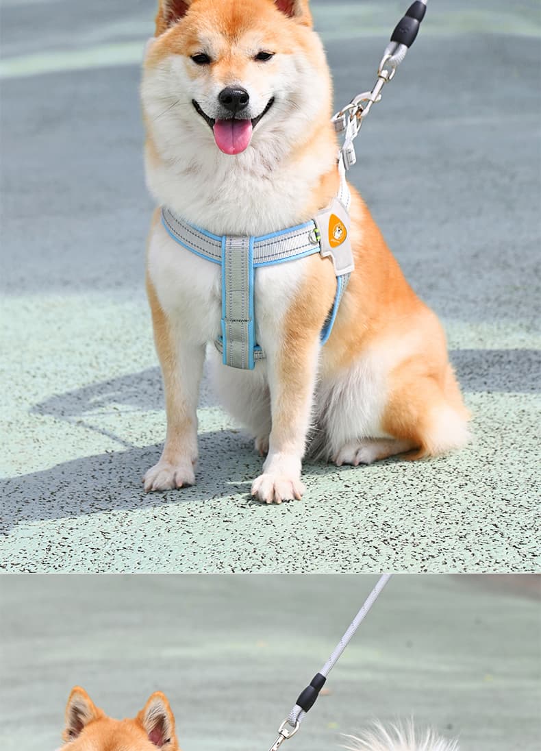 犬 ハーネス なめらか安全ハーネス 柴犬用ベストタイプ
