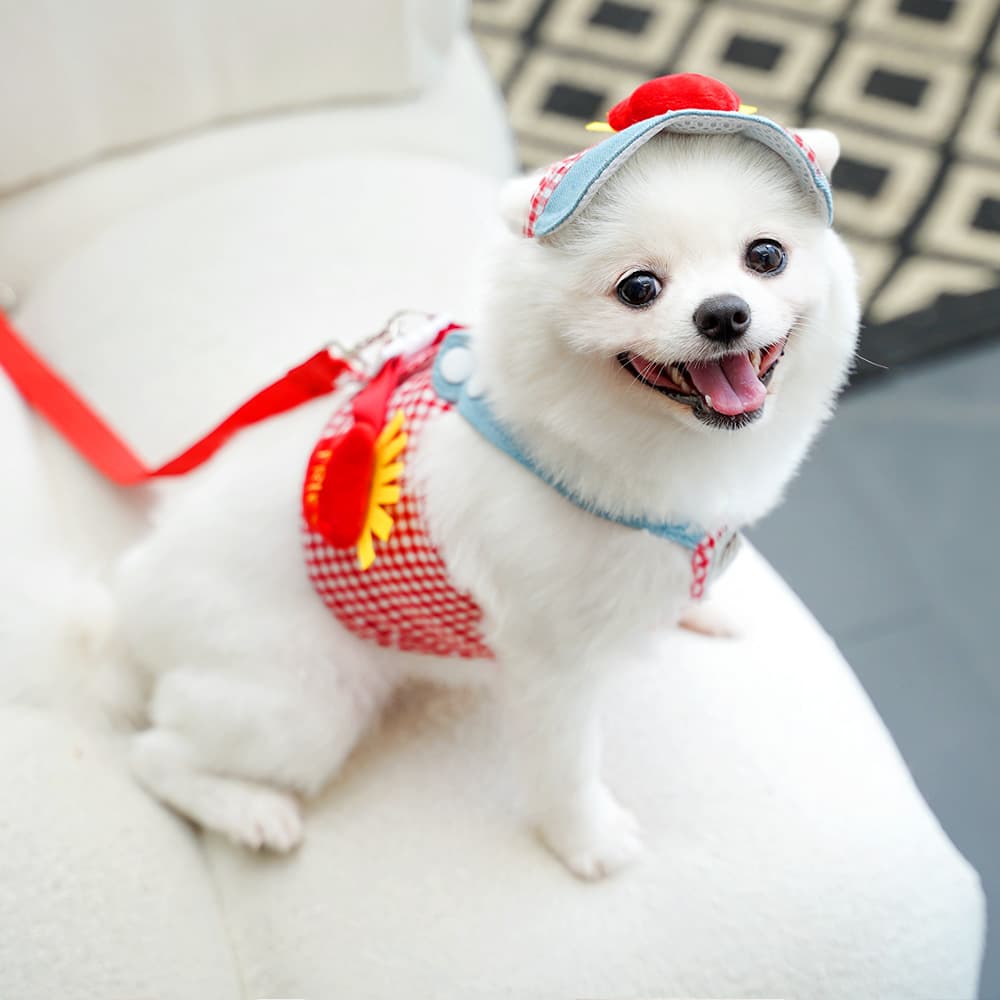 犬 ハーネス ポテト職人の小粋なハーネス