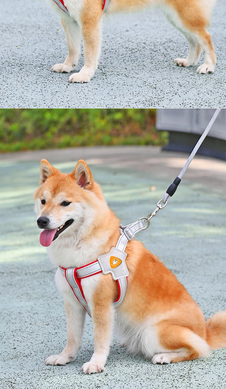 犬 ハーネス なめらか安全ハーネス 柴犬用ベストタイプ