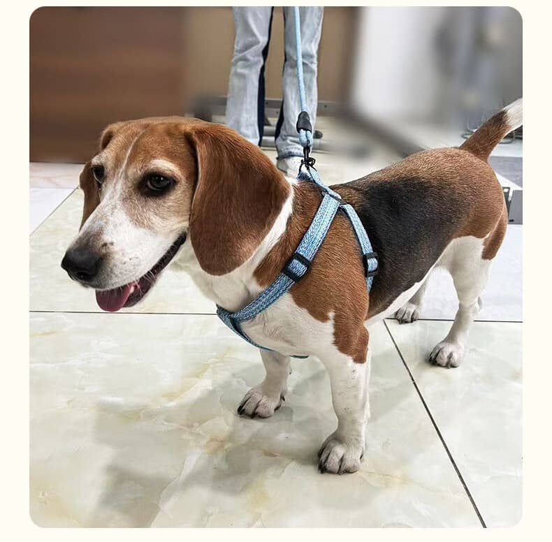 犬 ハーネス やさしい呼吸ハーネス