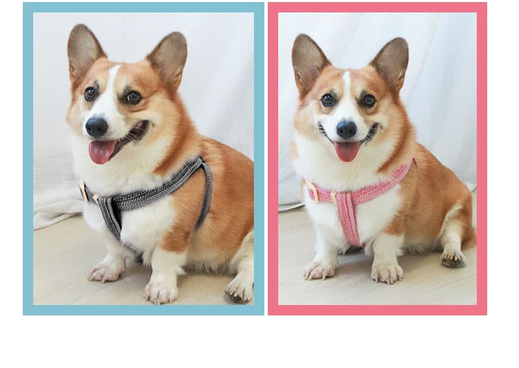 犬 ハーネス 軽やか快適メッシュハーネス