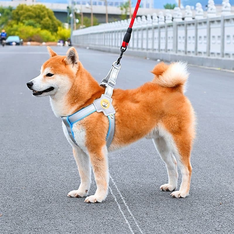 犬 ハーネス 柴犬のための快適シンプルハーネス
