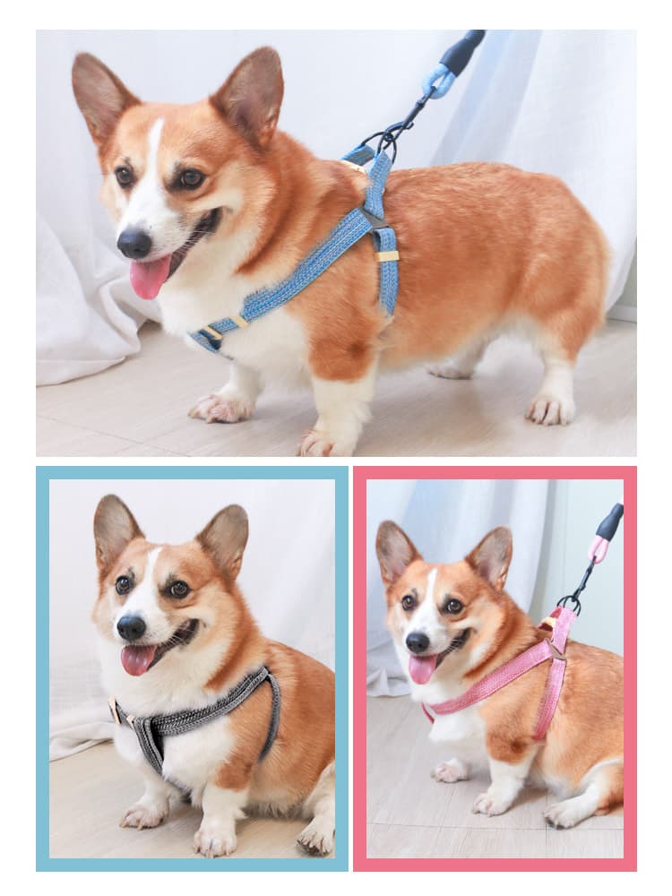 犬 ハーネス 軽やか快適メッシュハーネス