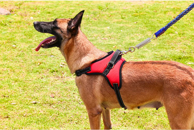 犬 ハーネス やさしさ包む 軽量ハーネス