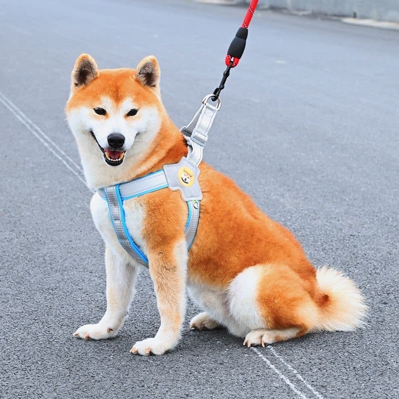 犬 ハーネス 柴犬のための快適シンプルハーネス