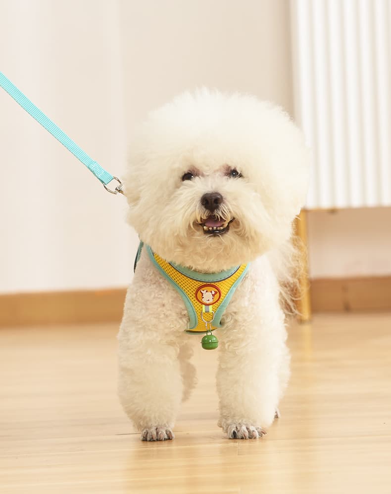 犬 ハーネス ふわもこキャンディ お散歩ハーネス