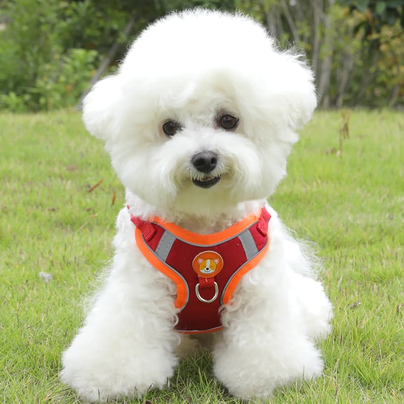 犬 ハーネス やさしい着け心地 ふんわりメッシュハーネス