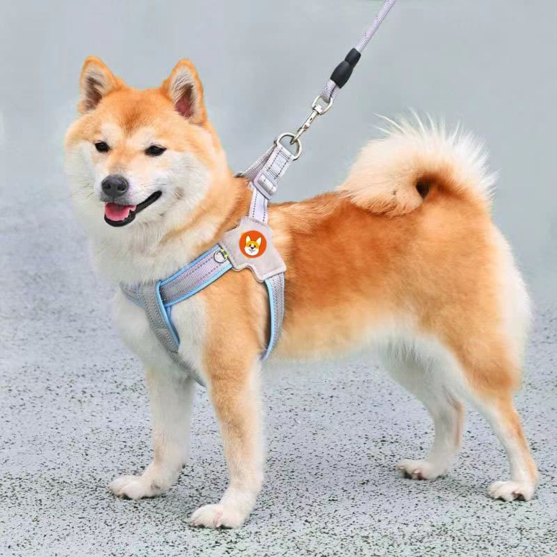 犬 ハーネス 柴犬のための職人仕立てハーネス
