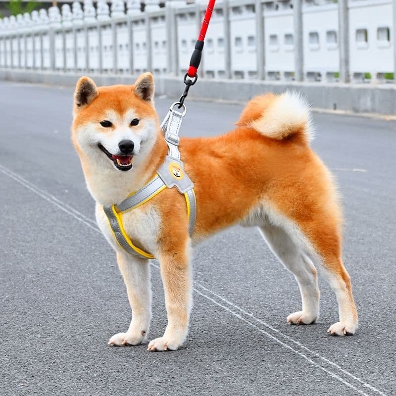 犬 ハーネス 柴犬のための快適シンプルハーネス