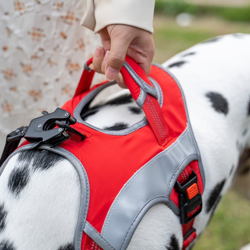 犬 ハーネス アスリートドッグハーネス