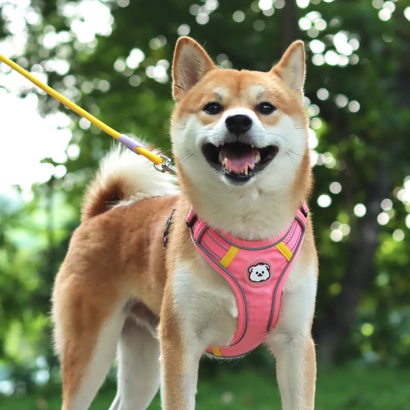 犬 ハーネス やわらか素材 ペット用ハーネス