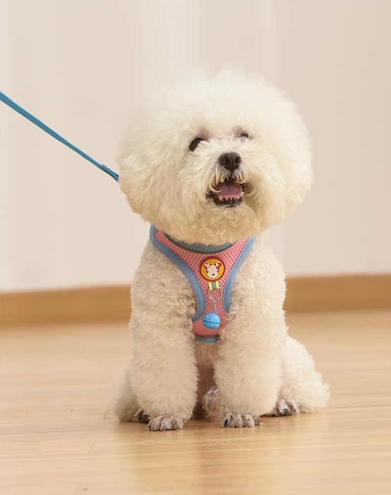 犬 ハーネス ふわもこキャンディ お散歩ハーネス