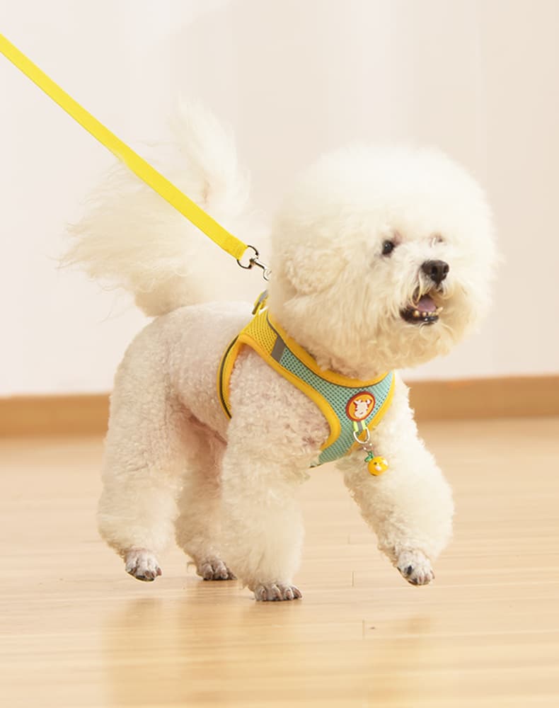 犬 ハーネス ふわもこキャンディ お散歩ハーネス