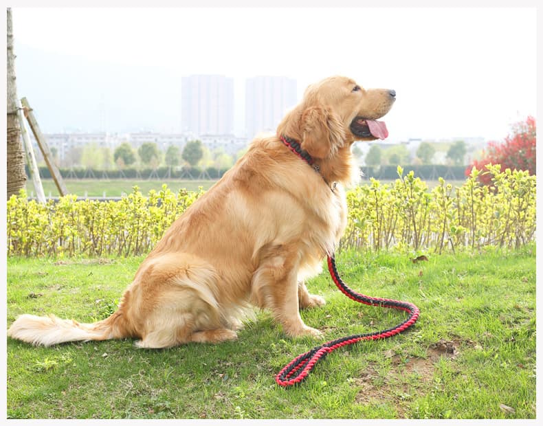 犬 ハーネス 軽やかな 編み込みリード