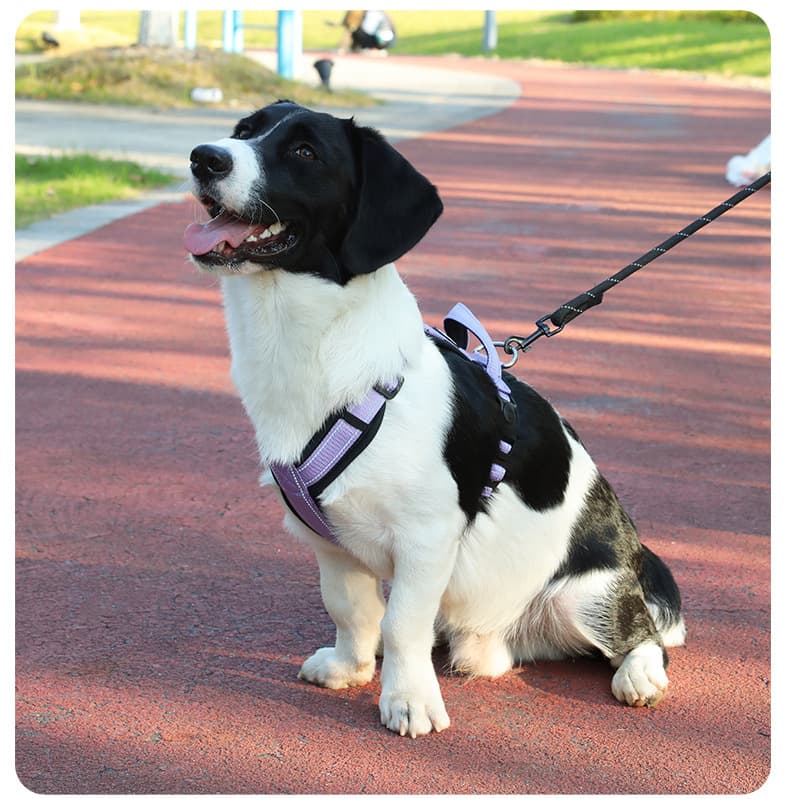 犬 ハーネス シームレス快適ハーネス